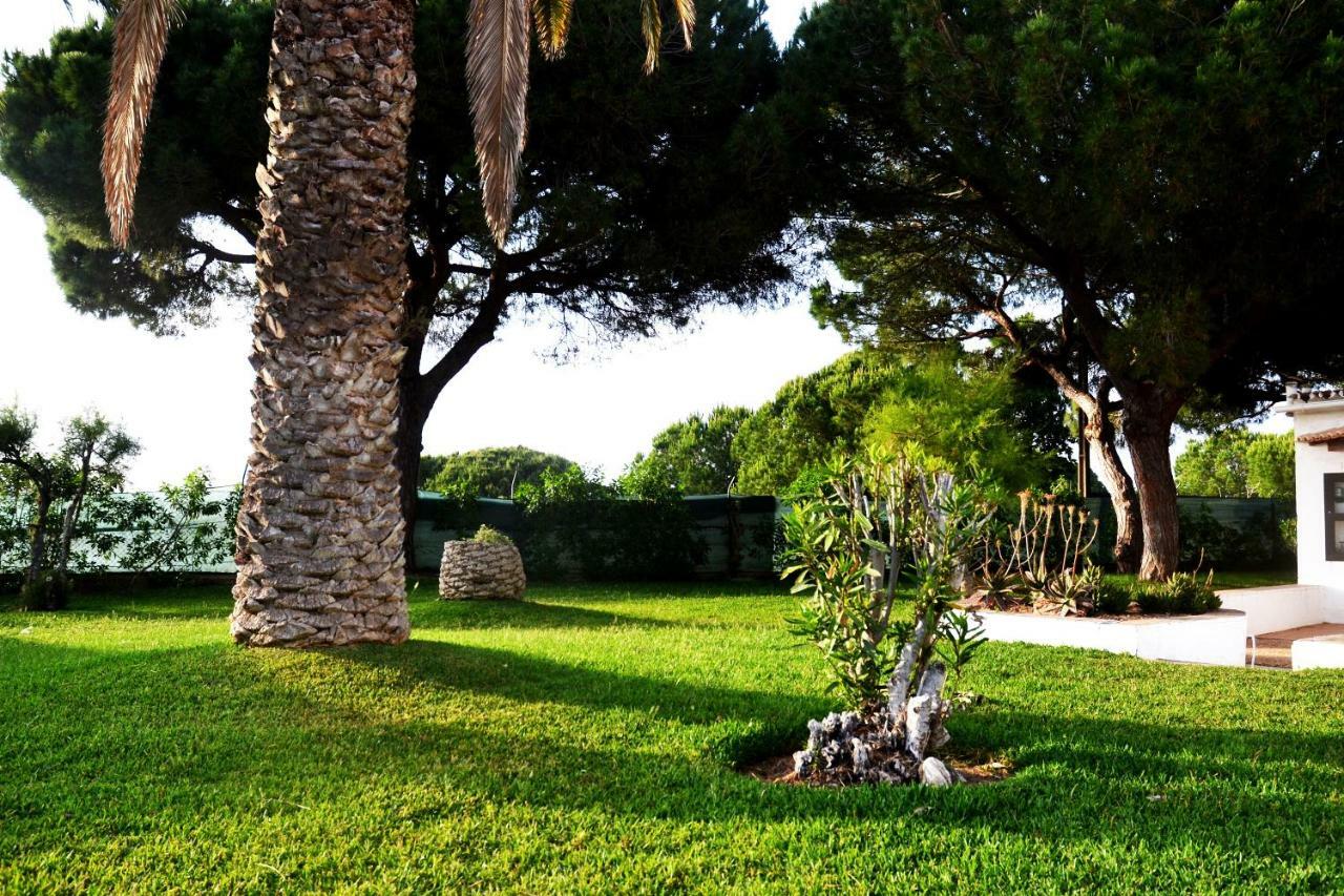 Sailing Studio Acoteias Albufeira Ngoại thất bức ảnh
